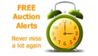 Set Up Auction Alerts & Never Miss a Lot Again!